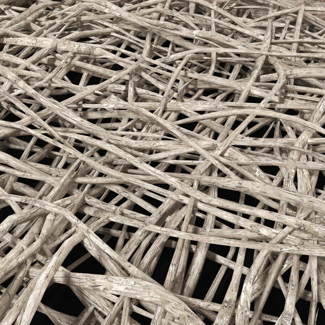ceiling branch decor model https://p.turbosquid.com/ts-thumb/GZ/Bhshlc/cRF8U7GX/r3/jpg/1583598616/1920x1080/fit_q87/3f21114255e9ff4973739217e7c84891940df993/r3.jpg