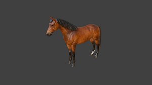 3D model Horse