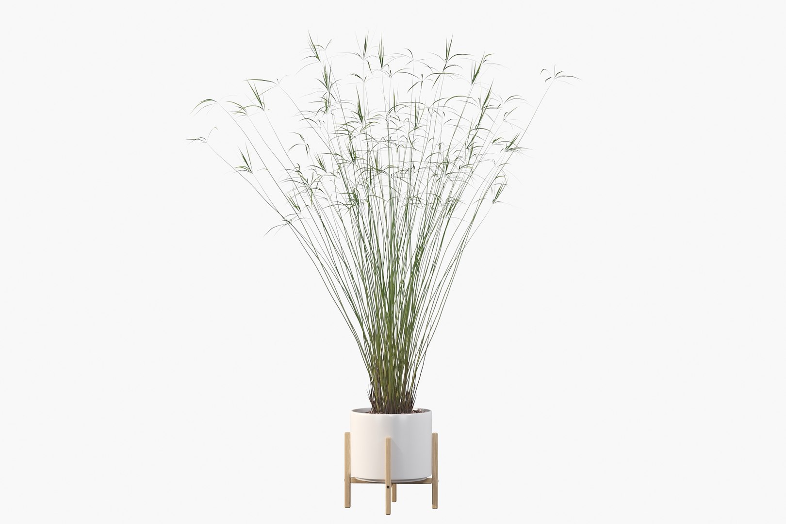 3D model peace lily plants https://p.turbosquid.com/ts-thumb/GZ/E8MCOq/9r/c10/jpg/1612797493/1920x1080/fit_q87/38c2a731834ae9a61de081740e41a259d5b58eac/c10.jpg