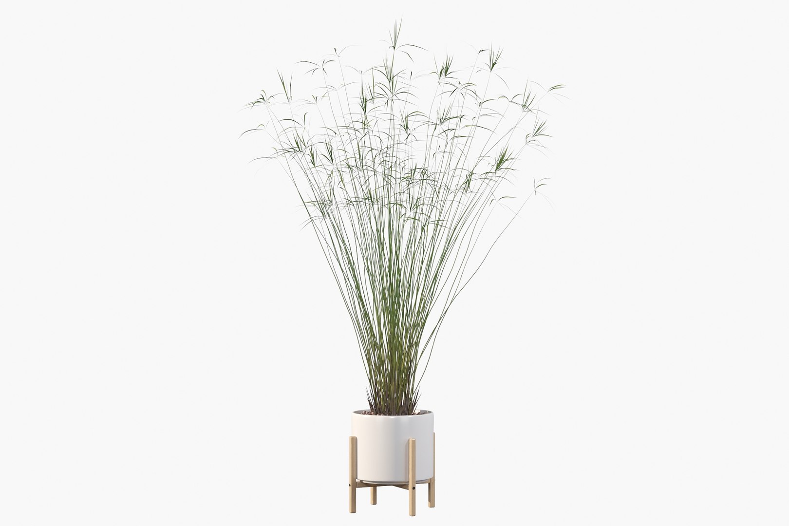 3D model peace lily plants https://p.turbosquid.com/ts-thumb/GZ/E8MCOq/Zu/c22/jpg/1612797493/1920x1080/fit_q87/6d110d68129b566e688a290f35d22247bc18f0d6/c22.jpg