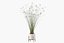 Plants collection 087 - monstera, Peace Lily, Cyperus papyrus