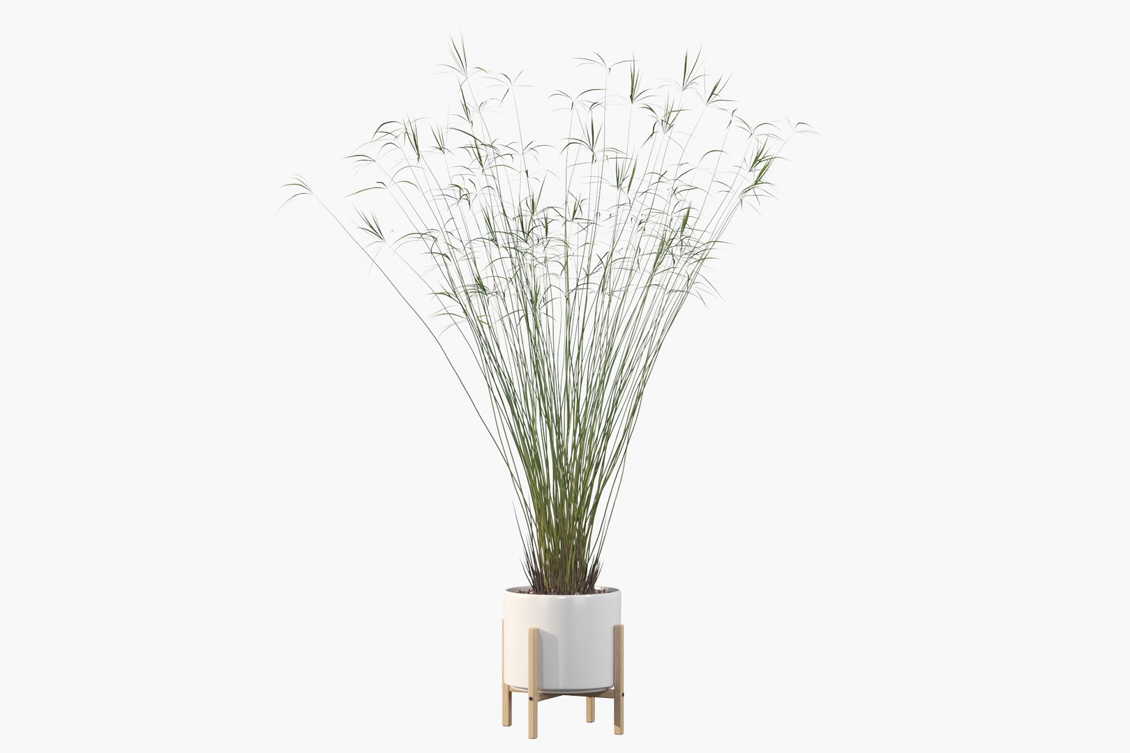 3D model peace lily plants https://p.turbosquid.com/ts-thumb/GZ/E8MCOq/gC/c6/jpg/1612797493/1920x1080/fit_q87/c2d2f01f1636bced90a7ec6a893b59012f8351ac/c6.jpg