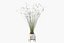 Plants collection 087 - monstera, Peace Lily, Cyperus papyrus