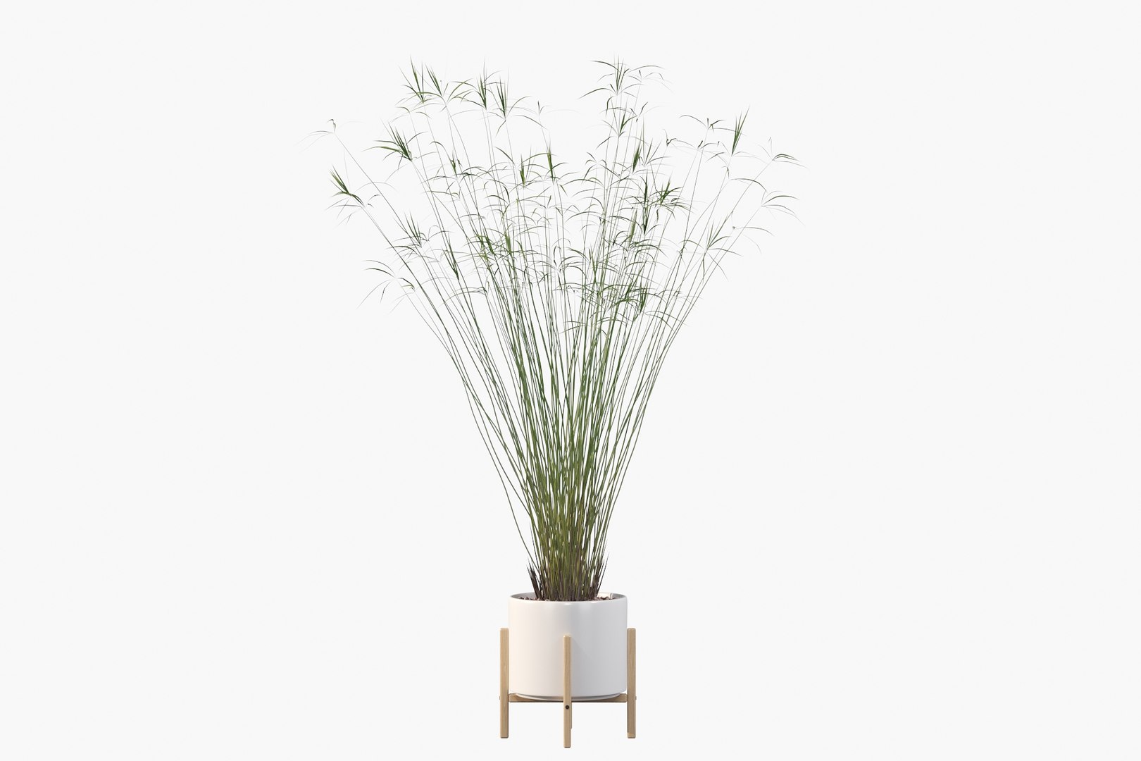 3D model peace lily plants https://p.turbosquid.com/ts-thumb/GZ/E8MCOq/jk/c14/jpg/1612797494/1920x1080/fit_q87/254d08da3b2fb23adae26ff9a339f8b5c5f0b495/c14.jpg