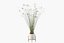 Plants collection 087 - monstera, Peace Lily, Cyperus papyrus