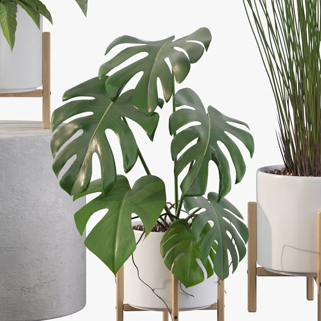 3D model peace lily plants https://p.turbosquid.com/ts-thumb/GZ/E8MCOq/kS/plantscollection087b/jpg/1612797354/1920x1080/fit_q87/7d13b609d4a3ff4123b9ce5c42bf43568627a510/plantscollection087b.jpg