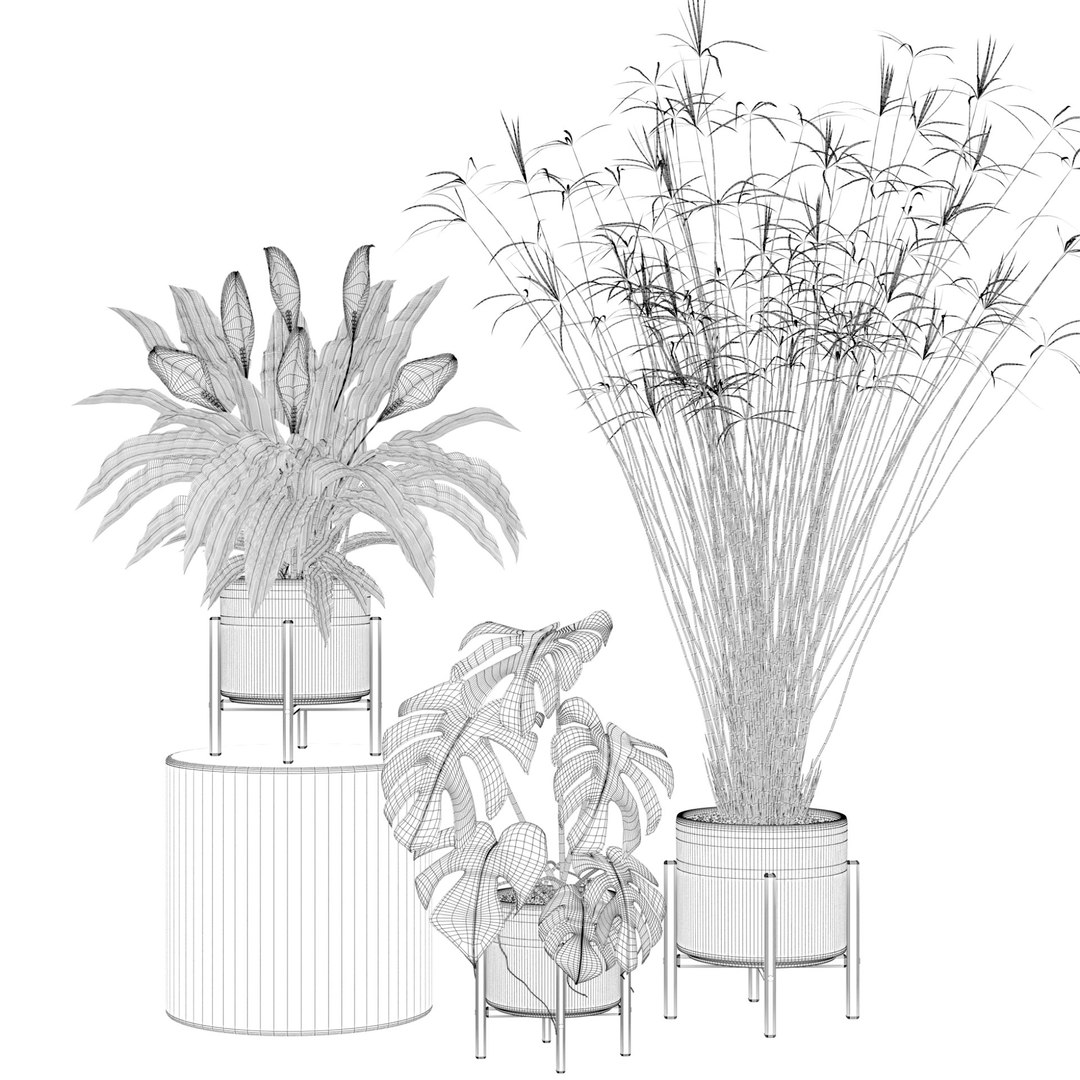 3D model peace lily plants https://p.turbosquid.com/ts-thumb/GZ/E8MCOq/nS/plantscollection087wire/jpg/1612797349/1920x1080/fit_q87/30926fce50925ceab3d681f8c8d57188f203b491/plantscollection087wire.jpg
