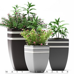 3d model of flowers pots