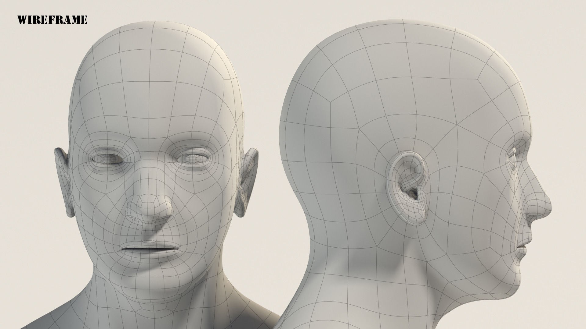 3D base mesh man muscle https://p.turbosquid.com/ts-thumb/GZ/Vjrogv/Ublulrwl/06/jpg/1574067405/1920x1080/fit_q87/61bff1c450fec55aadf905800fd3c847fe257a6b/06.jpg