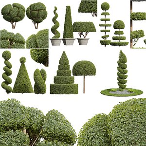 6Different SETS of Plant uotdoor Set Vol 32 model