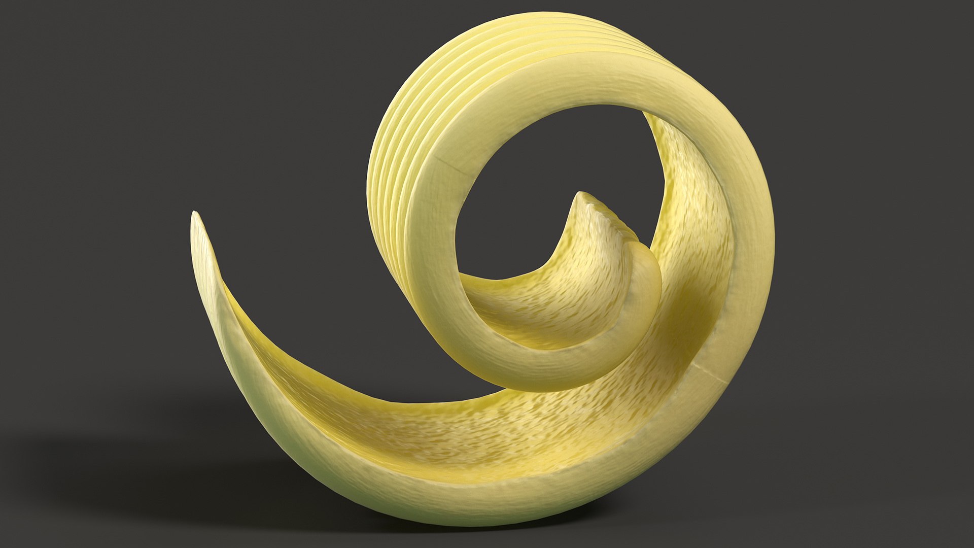 Curled Piece of Butter 3D model - TurboSquid 1995254
