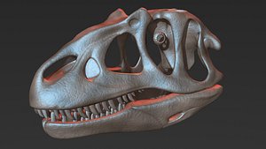 allosaurus skull 3D model