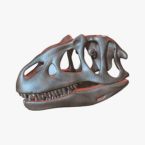 Allosaurus Skull