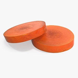 3D carrot slice model