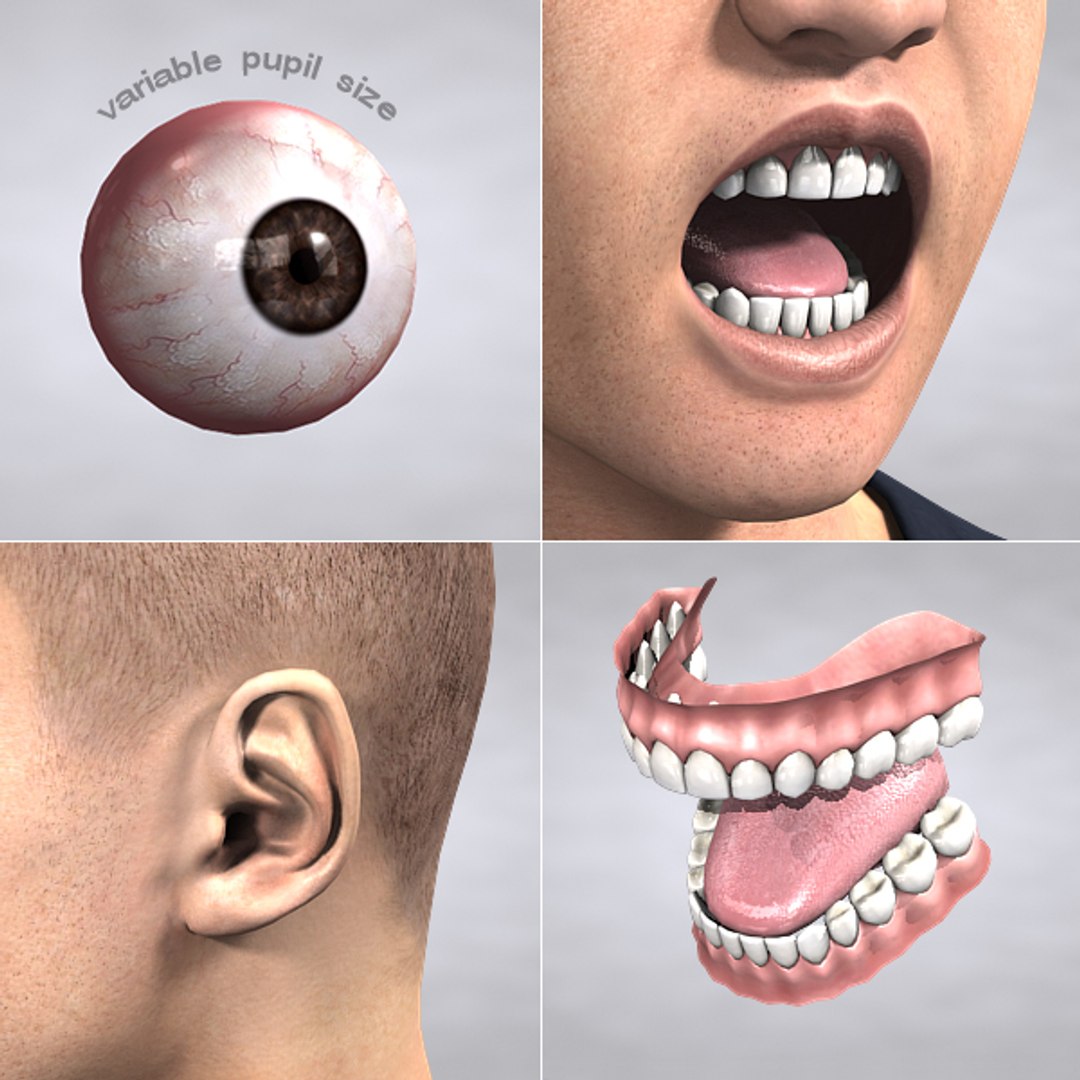 3d model dong asian man https://p.turbosquid.com/ts-thumb/GZ/pRw8Q4/fIW13hrm/do15/jpg/1292593458/1920x1080/fit_q87/fe67b78d8d867c6d97e045b3643fbc520e94312f/do15.jpg