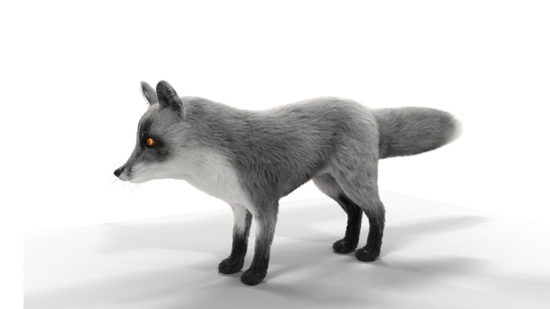 Fur Gray Fox 3D Model - TurboSquid 1722333