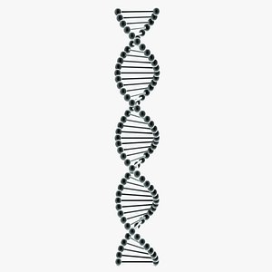 DNA4