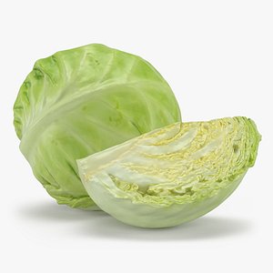 Whole Cabbage and Slice 3D model