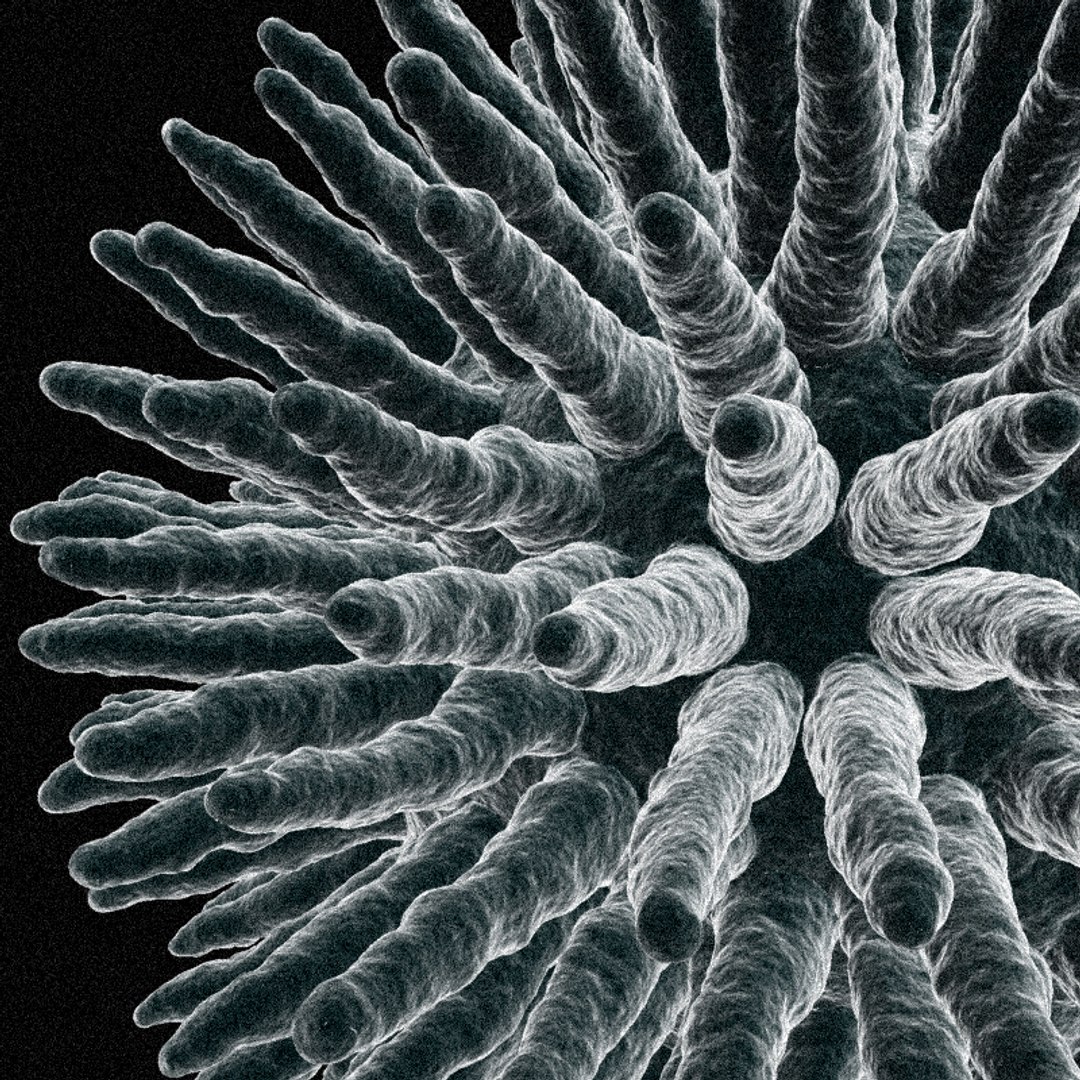 virus electron microscope 3d max https://p.turbosquid.com/ts-thumb/Ga/1ZVeGa/YBs9awx0/v_00/jpg/1154845776/1920x1080/fit_q87/47684aeb7a0c406551bf47fbb823c5a08625d22b/v_00.jpg