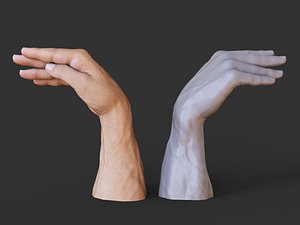 3D Male Hand Pose 28 model
