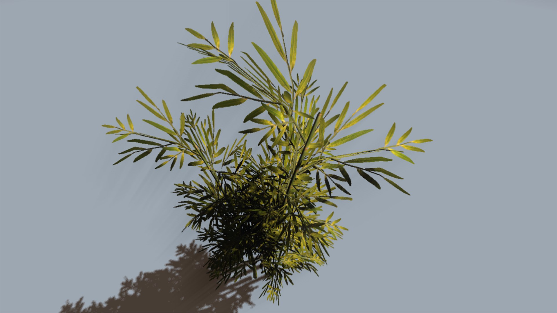 3D Bamboo https://p.turbosquid.com/ts-thumb/Ga/ZoKrTz/qX/preview5/png/1645366025/1920x1080/fit_q87/993f2bb3c7e240a1cdc55484aa638a972062467f/preview5.jpg