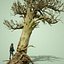 3D dead forest tree stylised model