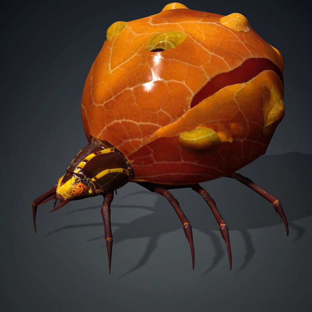 3D Spider-A2 https://p.turbosquid.com/ts-thumb/Ga/lZp2O4/Yi/spider_a2/jpg/1759207464/1920x1080/fit_q87/fa039e16045086456c340bf67eb18fda6bbc0fa9/spider_a2.jpg