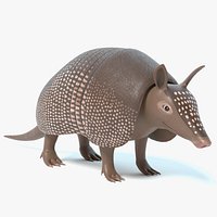 Cartoon Armadillo