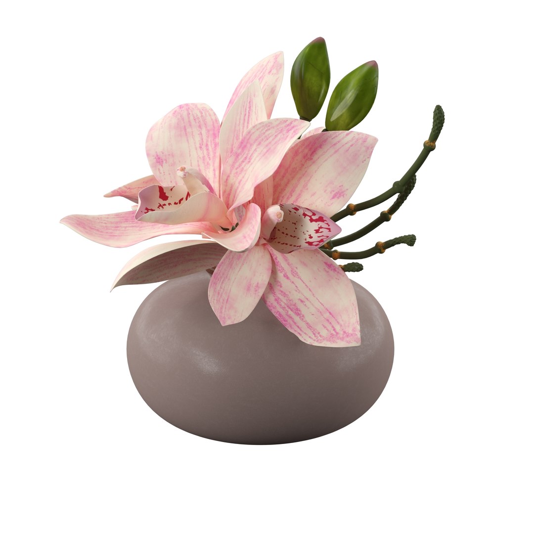 3D cymbidium orchid floral https://p.turbosquid.com/ts-thumb/Gb/ApTrPD/879idNOy/final_render8zn4s456/jpg/1549888666/1920x1080/fit_q87/0ace03471b751d442c7bad3b1ea2eb71b88cbb89/final_render8zn4s456.jpg