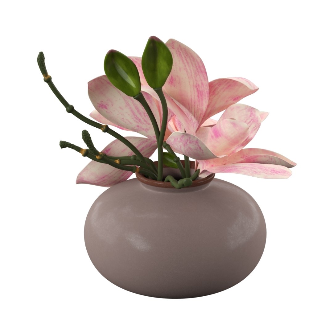 3D cymbidium orchid floral https://p.turbosquid.com/ts-thumb/Gb/ApTrPD/AFSdlExP/final_render2hvp7trf/jpg/1549888649/1920x1080/fit_q87/f79a534e96d186c806fd8627e5fbf683df46d62f/final_render2hvp7trf.jpg
