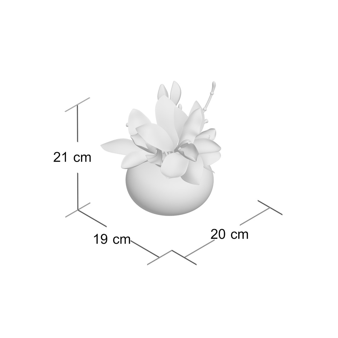 3D cymbidium orchid floral https://p.turbosquid.com/ts-thumb/Gb/ApTrPD/YTbFlWTT/final_rendert9ek334i/jpg/1549888623/1920x1080/fit_q87/9419d0e5072e807e78ed66f69e70884f481fdf17/final_rendert9ek334i.jpg