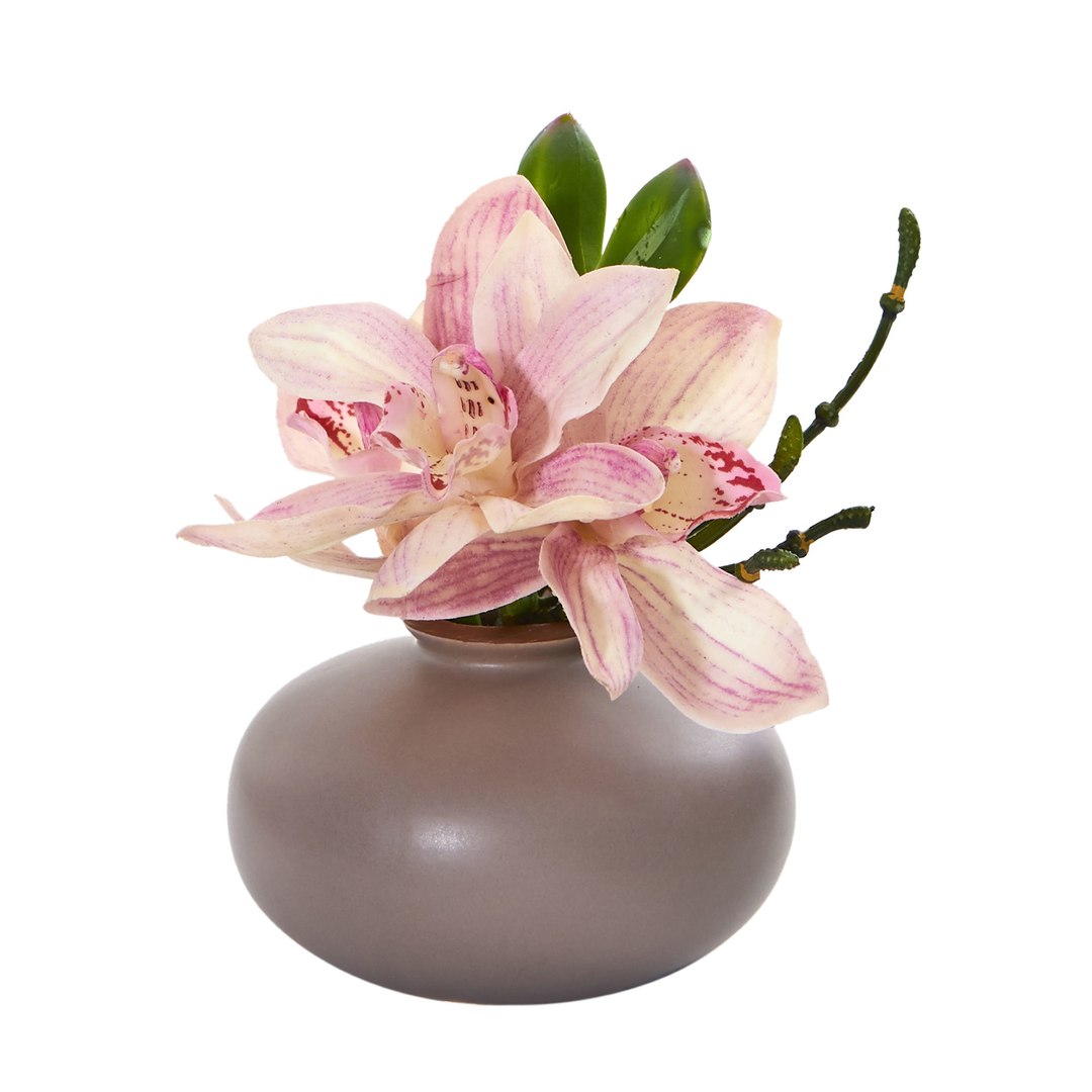 3D cymbidium orchid floral https://p.turbosquid.com/ts-thumb/Gb/ApTrPD/gtDnrd36/434/jpg/1549888637/1920x1080/fit_q87/0b83601b6e552bbe6d4bd7a43f2e9618510a75e9/434.jpg