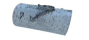 3D WINTER WOOD LOG 2021 RAW model