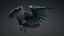 Eagle-C6