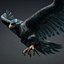 Eagle-C6