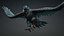 Eagle-C6