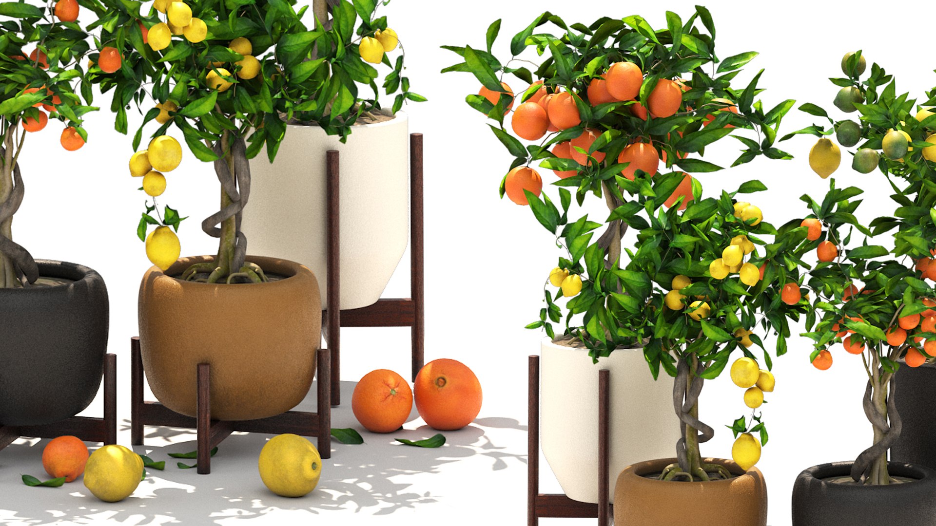 Collection of plants 002 lemons and oranges trees 3D model https://p.turbosquid.com/ts-thumb/Gb/UE3lJ6/Ec/5/jpg/1664231180/1920x1080/fit_q87/61fc0ebc660be4187e07972bc589affbbebbb071/5.jpg