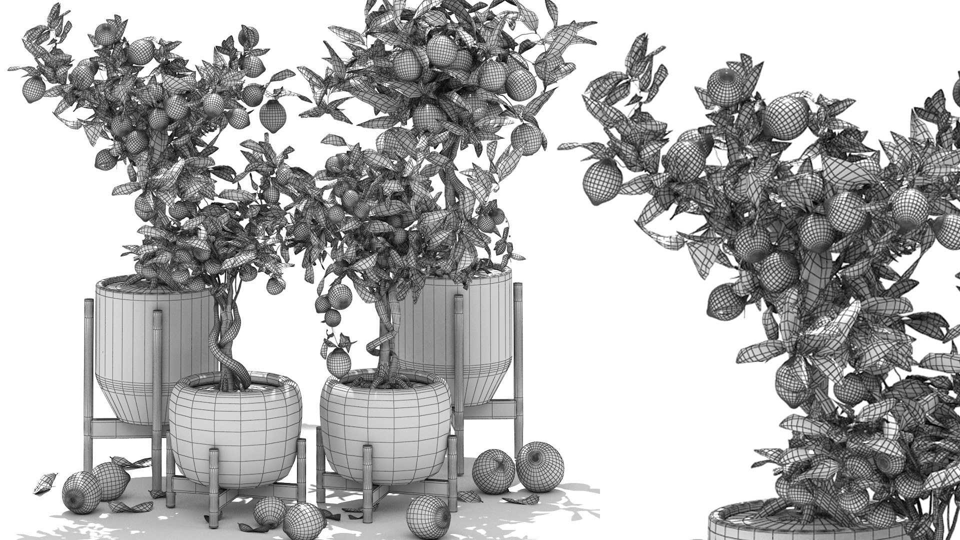 Collection of plants 002 lemons and oranges trees 3D model https://p.turbosquid.com/ts-thumb/Gb/UE3lJ6/Fi/6/jpg/1664231174/1920x1080/fit_q87/bcba4cfd53764472204ffe622e3f4ec248998c82/6.jpg