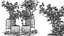 Collection of plants 002 lemons and oranges trees