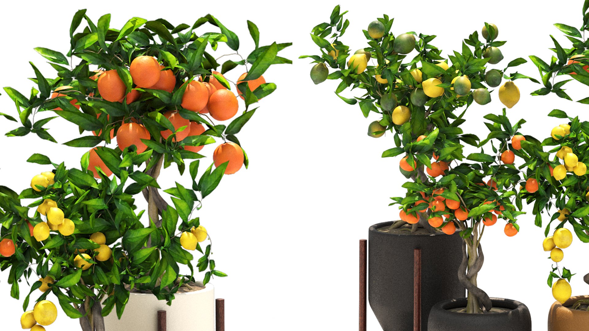 Collection of plants 002 lemons and oranges trees 3D model https://p.turbosquid.com/ts-thumb/Gb/UE3lJ6/bs/2/jpg/1664231192/1920x1080/fit_q87/d18177adab3bb11a2b0f6a90c617bc17ec934351/2.jpg