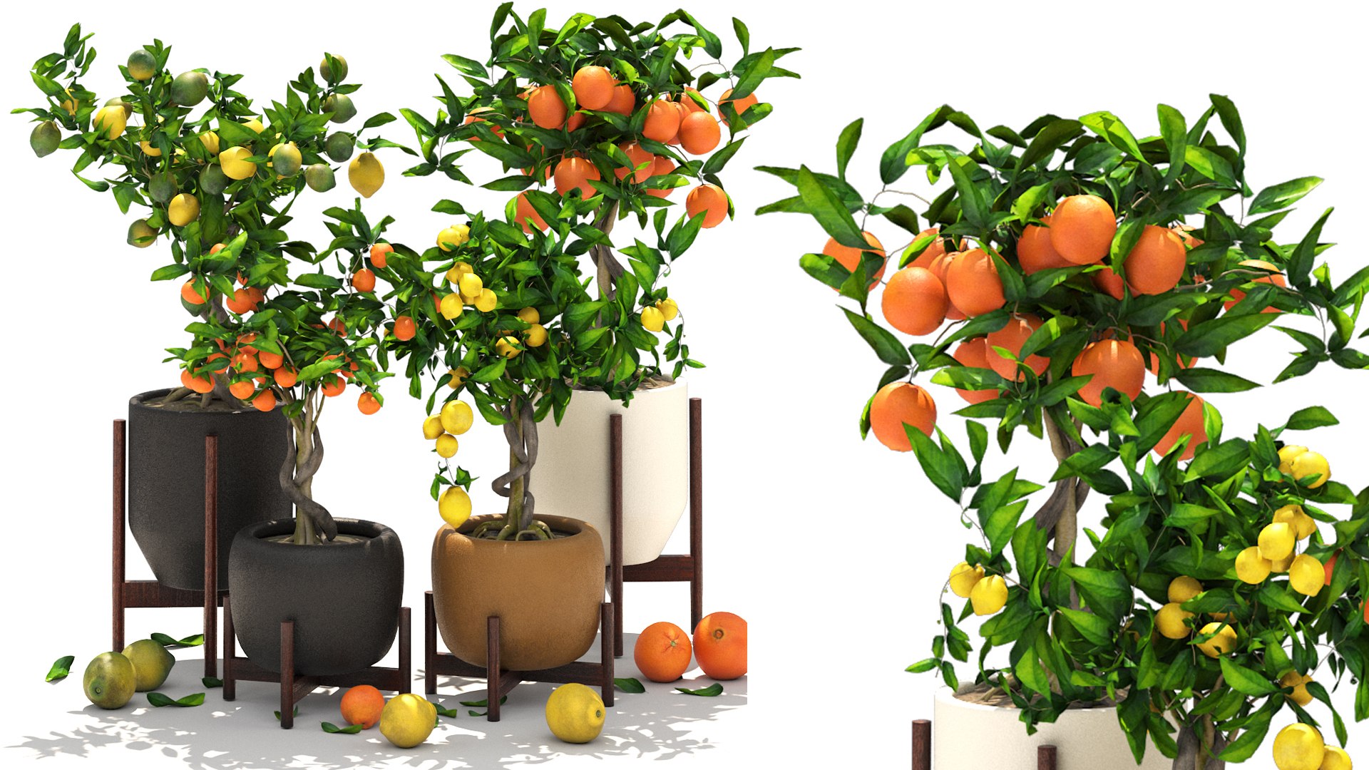 Collection of plants 002 lemons and oranges trees 3D model https://p.turbosquid.com/ts-thumb/Gb/UE3lJ6/kr/1/jpg/1664231177/1920x1080/fit_q87/c442338e090b06248ba02acc4049118a8df6a011/1.jpg