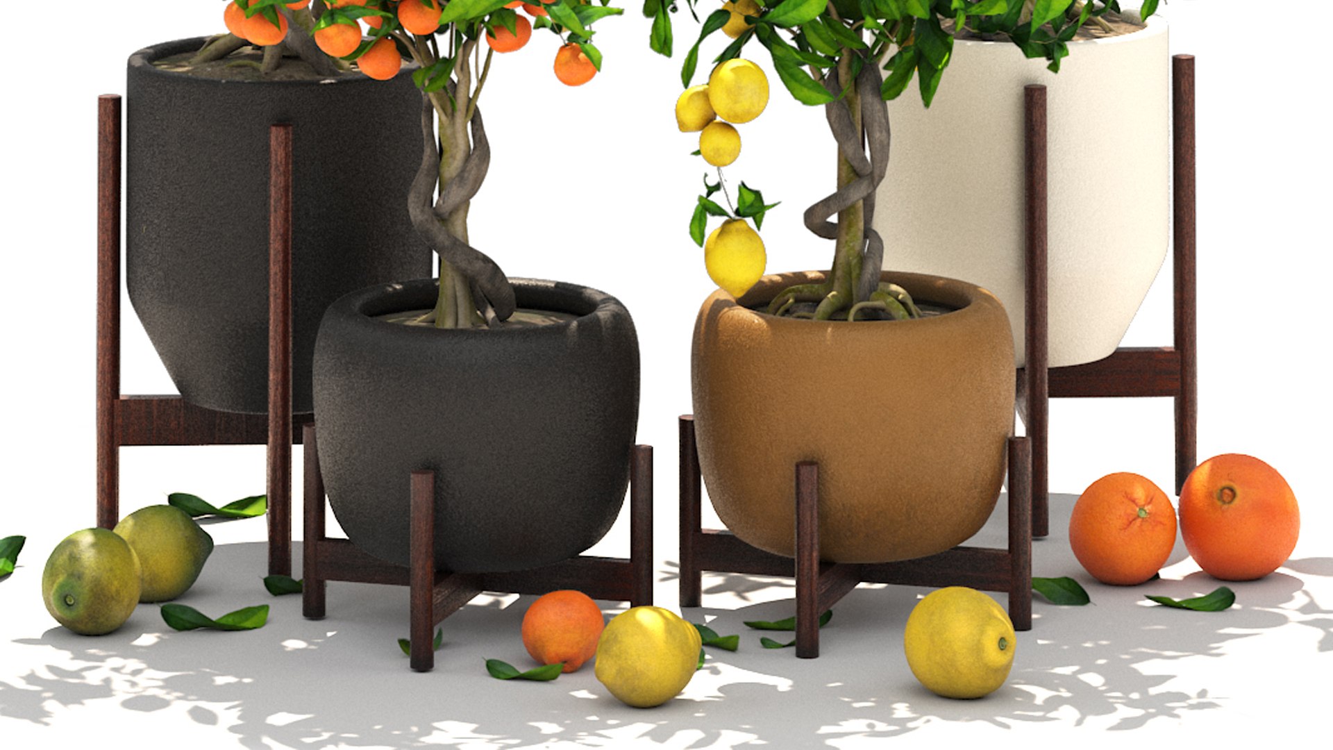 Collection of plants 002 lemons and oranges trees 3D model https://p.turbosquid.com/ts-thumb/Gb/UE3lJ6/zt/4/jpg/1664231177/1920x1080/fit_q87/53bb69b407f998f61abcf023a7db93bf20877547/4.jpg