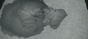 BEACH ROCK LANDSCAPE B 2022 3D