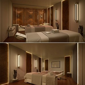 Sauna and spa heat steamer room model