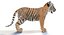 Tigre bebé