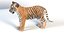 Tigre bebé