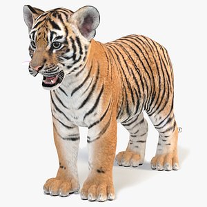 Animado Tigre 3D model - Baixar Animais no