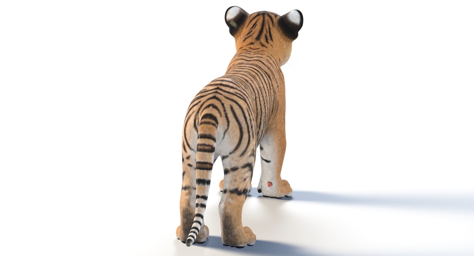 3D tiger animal mammal https://p.turbosquid.com/ts-thumb/Gb/nWqyOd/z0I0I1t5/tigercub3dmodelarnold05/jpg/1560501419/1920x1080/fit_q87/d7ad939cb97fbf3496b22ac62c2113ace38ba1ad/tigercub3dmodelarnold05.jpg
