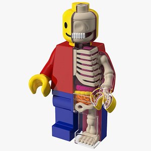 Anatomical LEGO Man Transparent