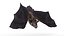 Vampire Bat Animated